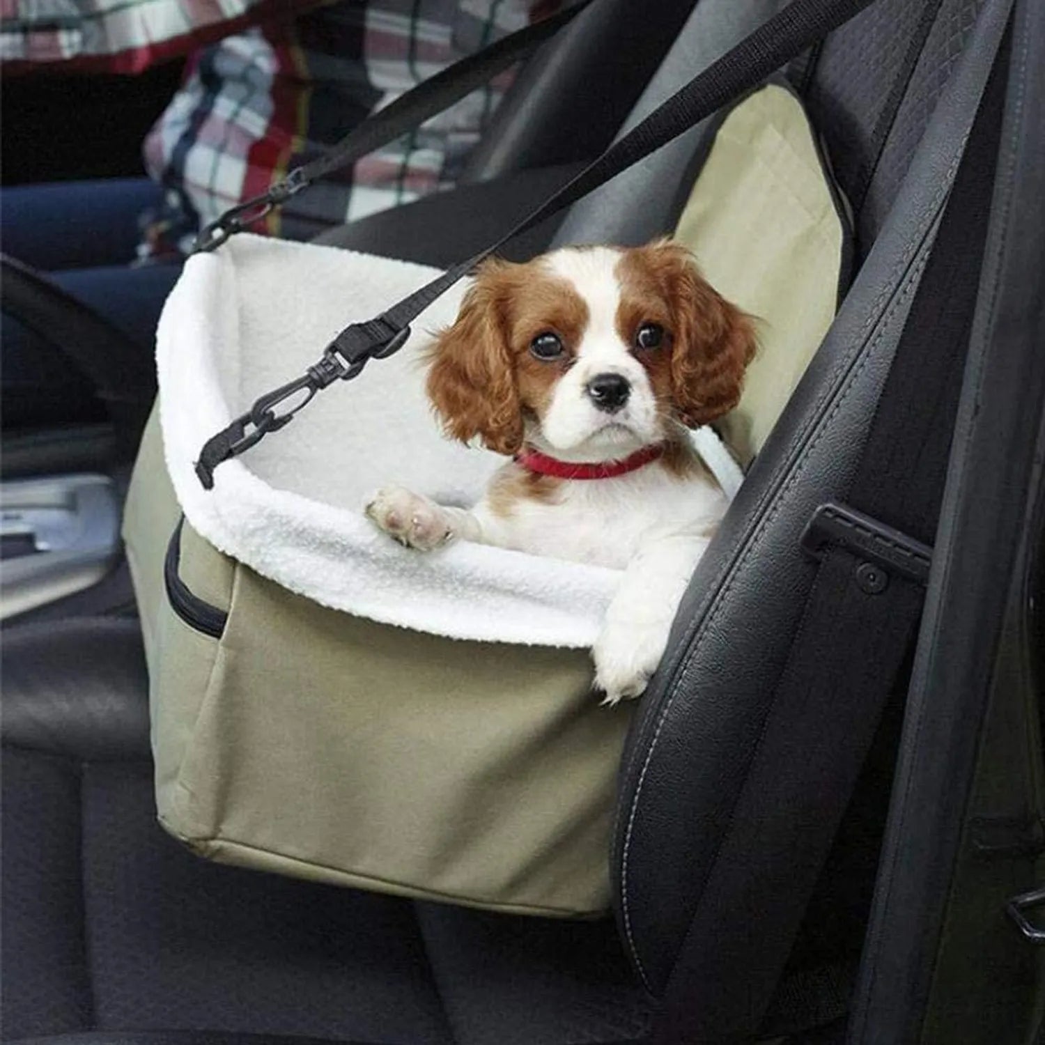 🚗🐾Transporta a tu Mascota con Confianza