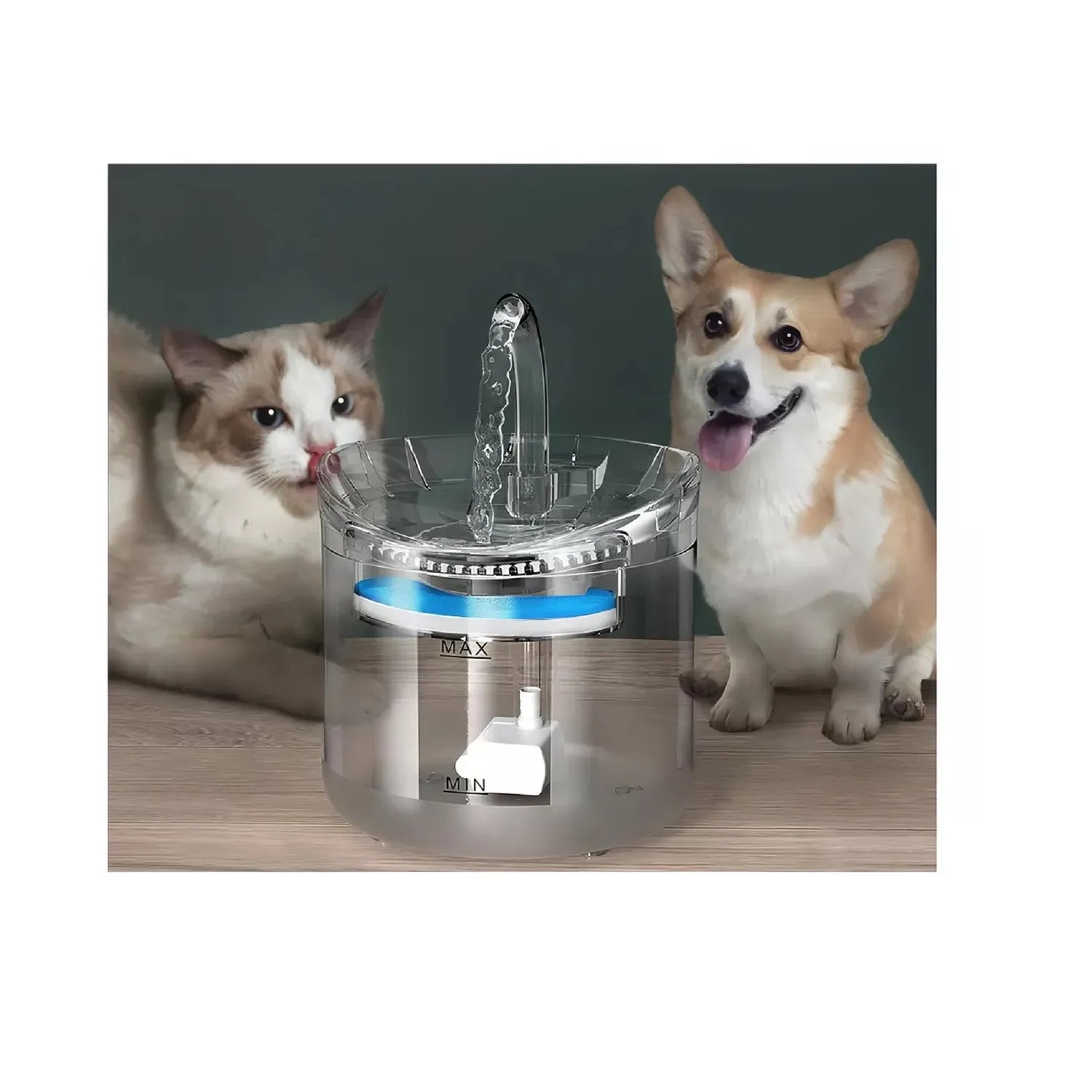 🐾 BEBEDERO PARA MASCOTAS TRANSPARENTE